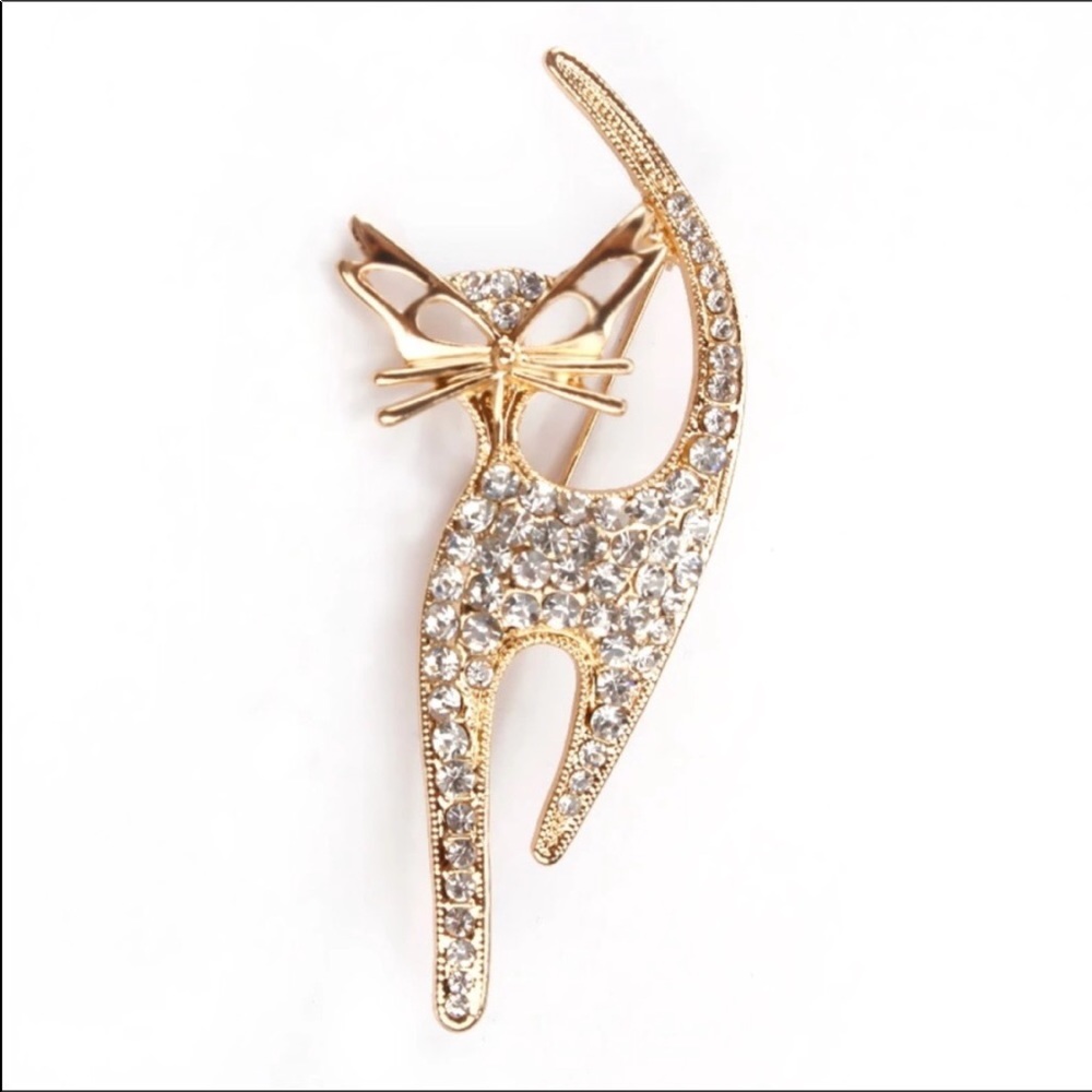 🆕 Cat brooch